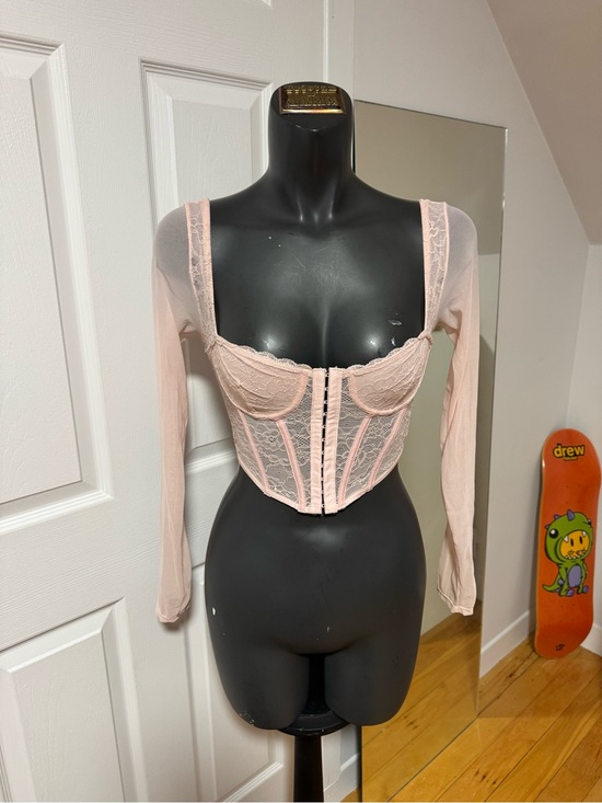 Garage Tops - Sheer Lace Long-Sleeve Bustier in Blush Pink